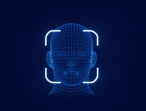 Website Visitor Identification Service
