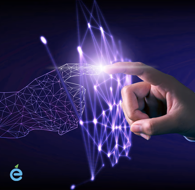 Euphoric Media does website development services to transform small to medium sized businesses.