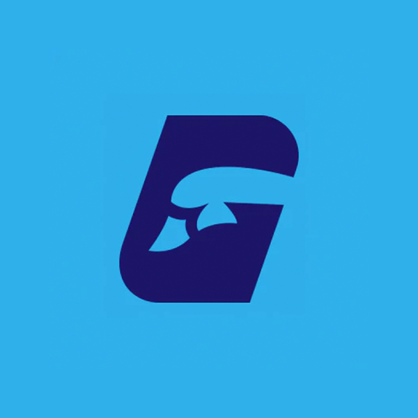 Disc golf logo for the personal brand of Aaron Gossage AKA Goose or Goose Man!