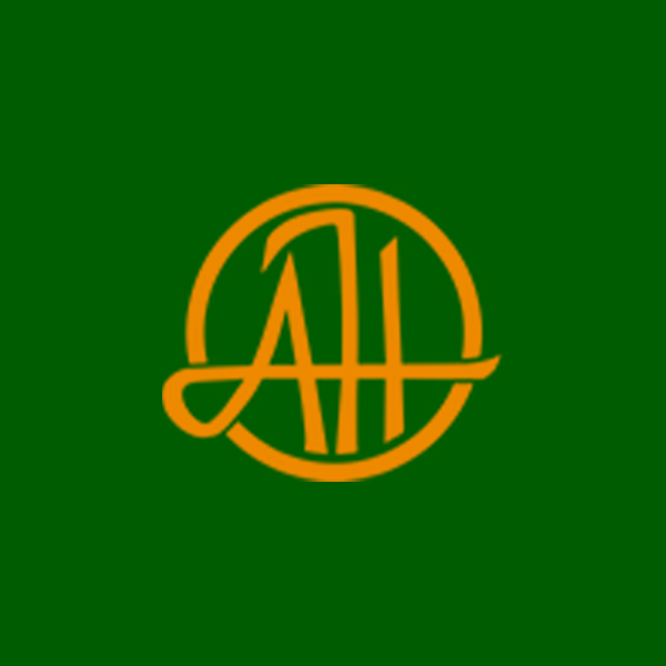 Personal brand disc golf logo for Adam Hammes.