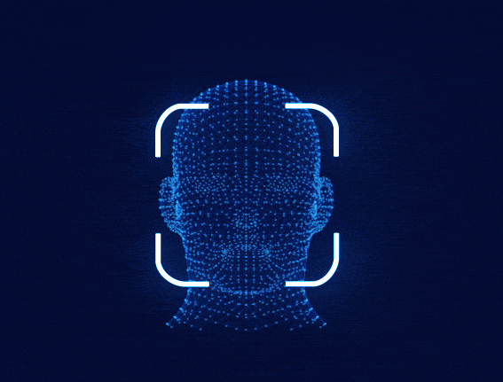 Anonymous website visitor identification service at Euphoric Media.